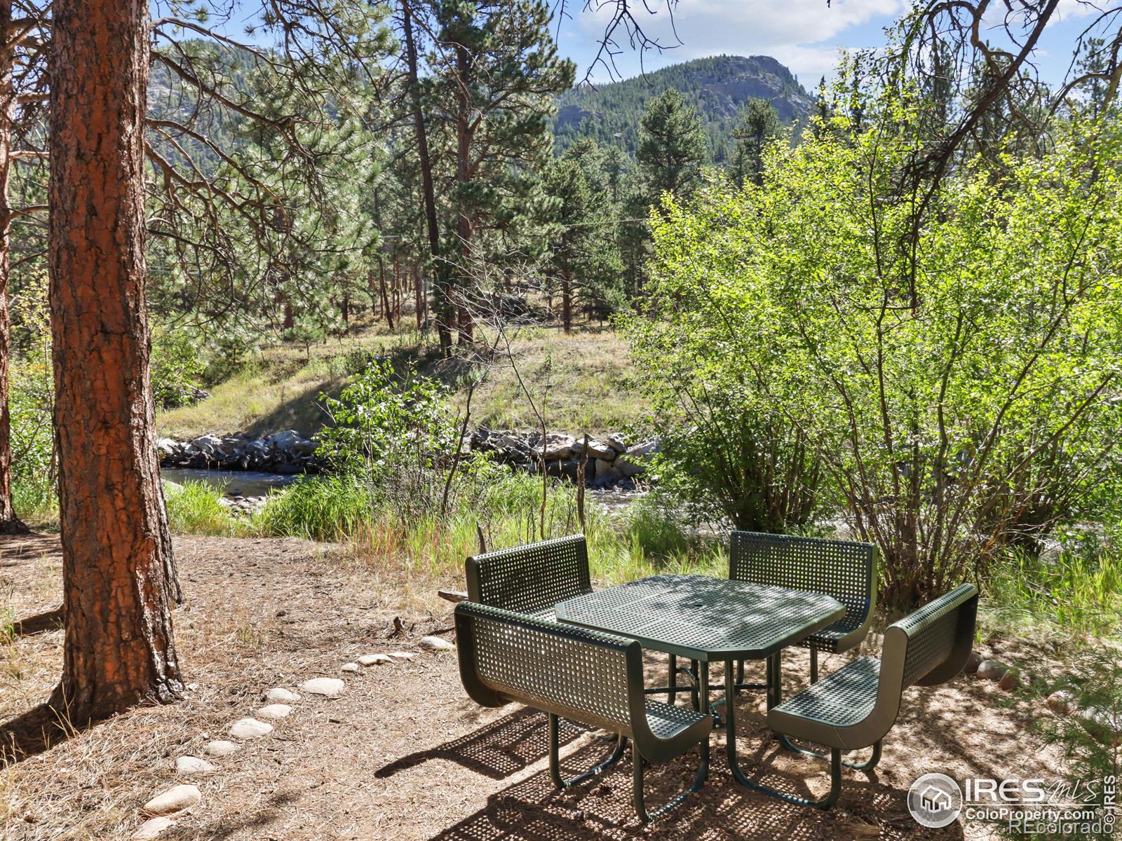 MLS Image #14 for 658  park river place,estes park, Colorado