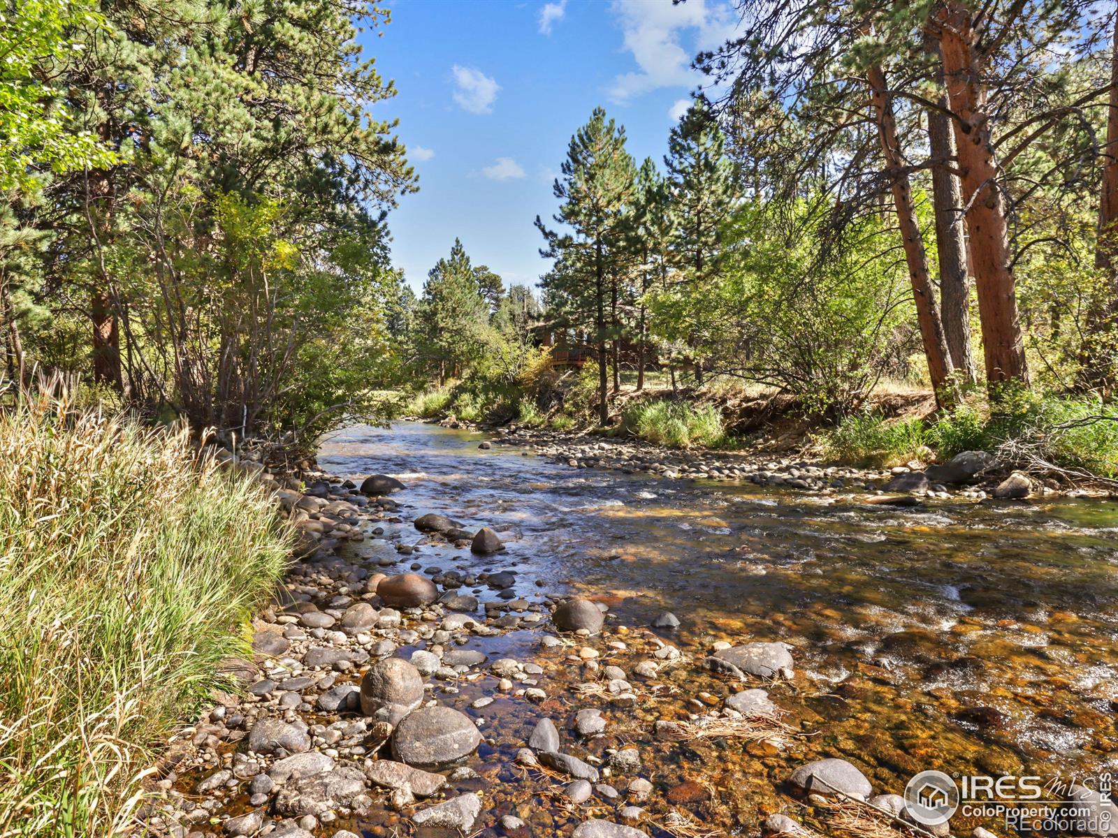 MLS Image #15 for 658  park river place,estes park, Colorado