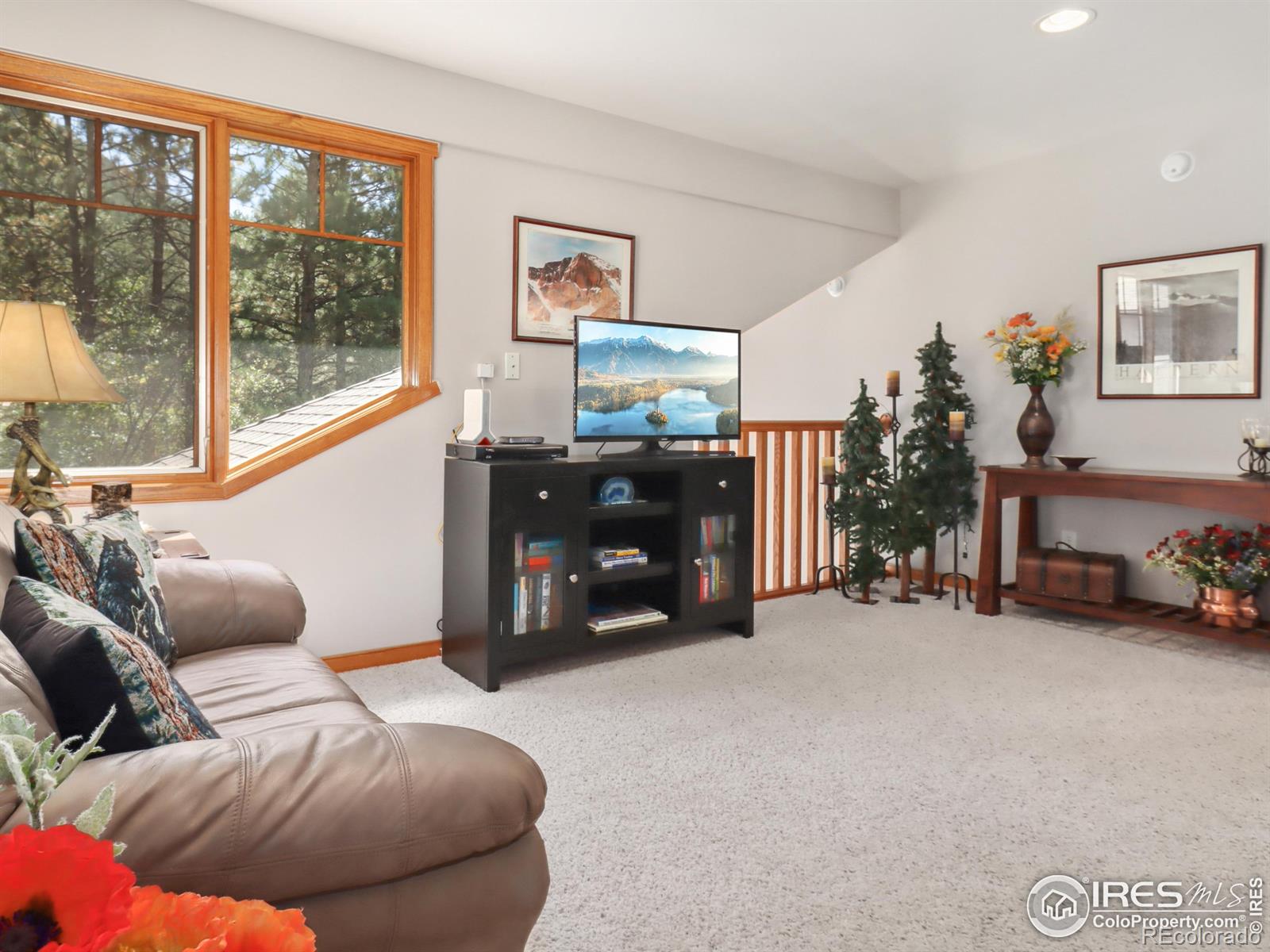 MLS Image #19 for 658  park river place,estes park, Colorado