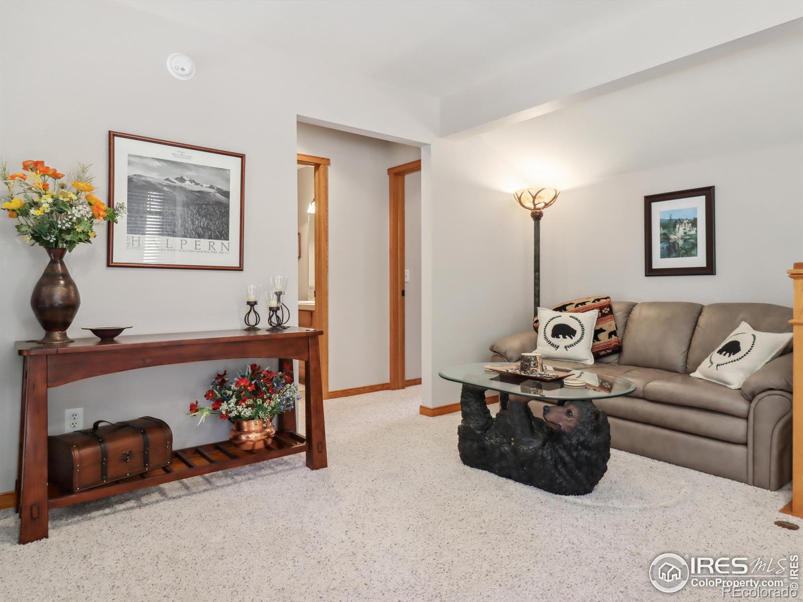 MLS Image #20 for 658  park river place,estes park, Colorado