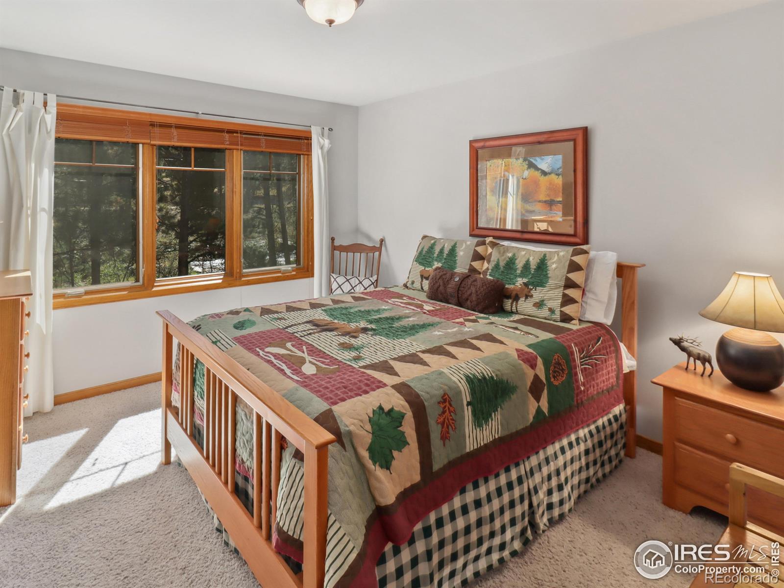 MLS Image #21 for 658  park river place,estes park, Colorado