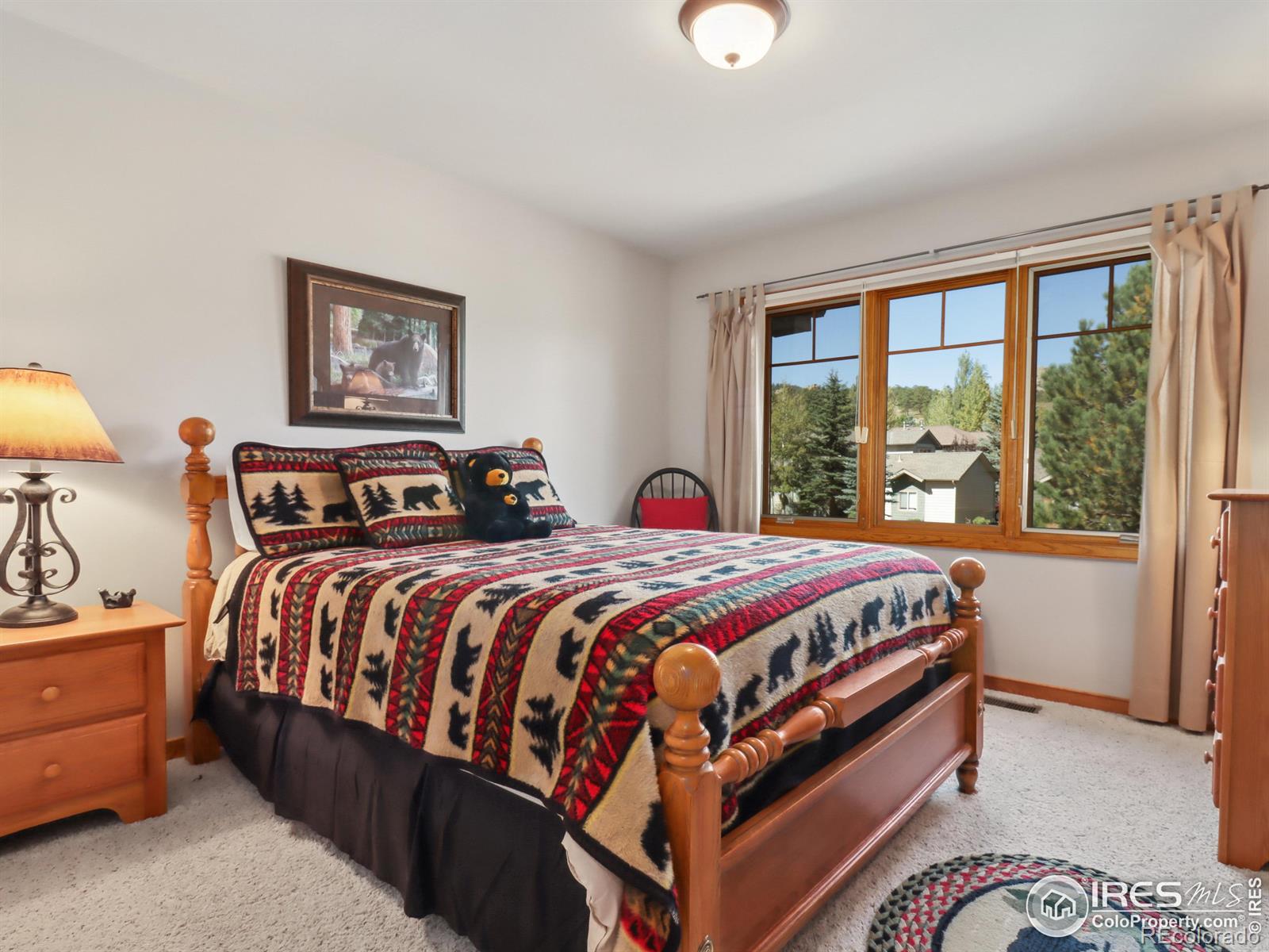 MLS Image #23 for 658  park river place,estes park, Colorado