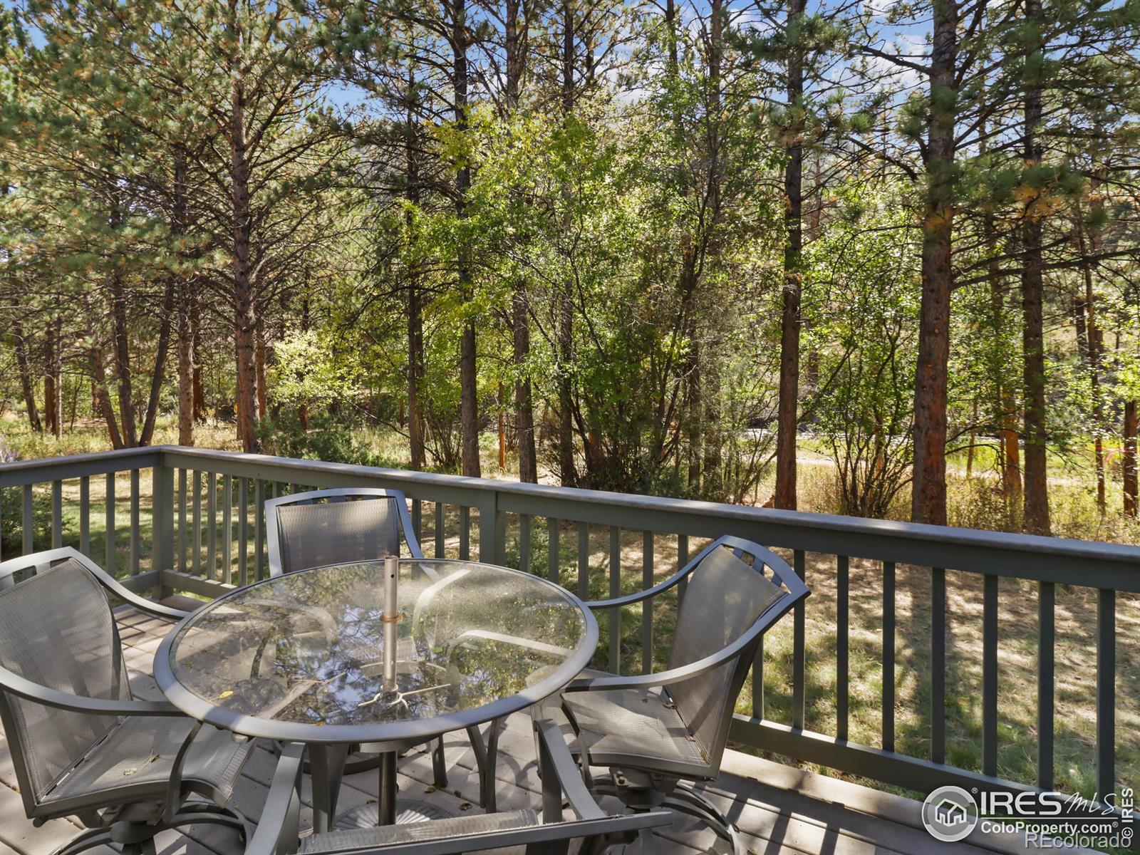 MLS Image #32 for 658  park river place,estes park, Colorado