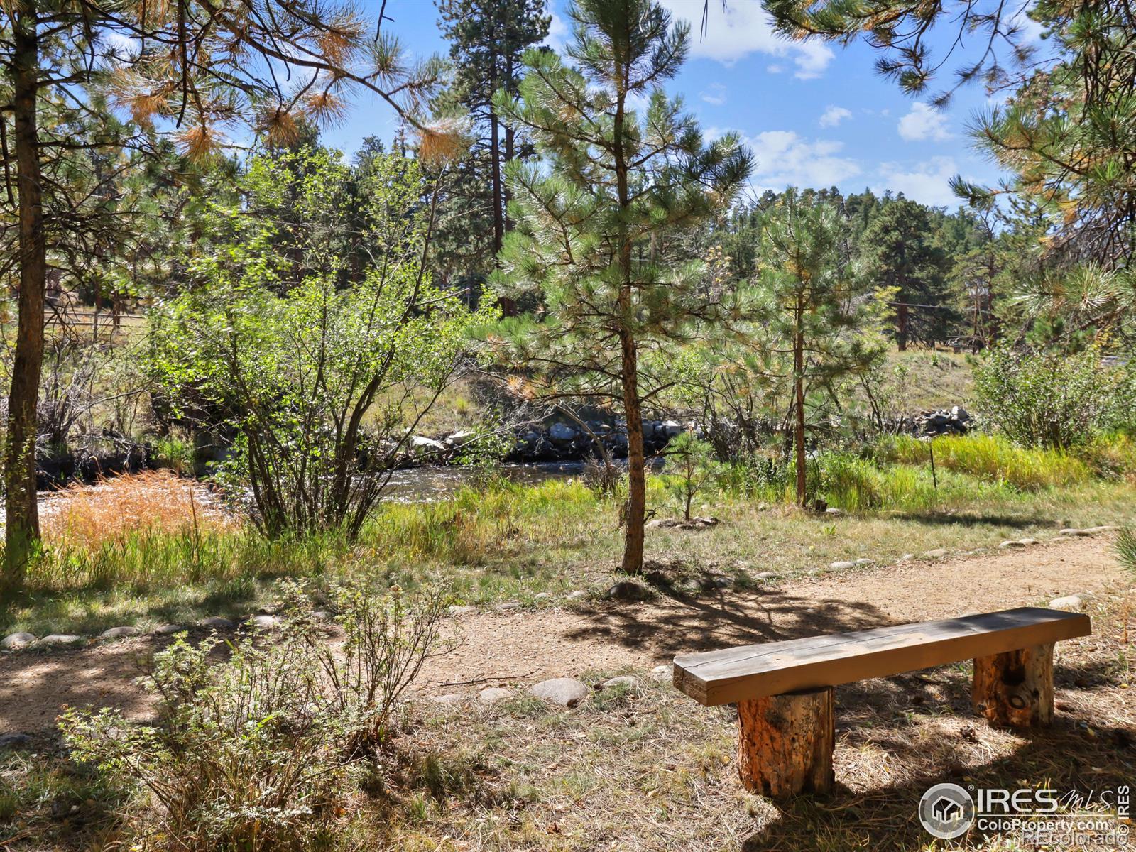 MLS Image #34 for 658  park river place,estes park, Colorado