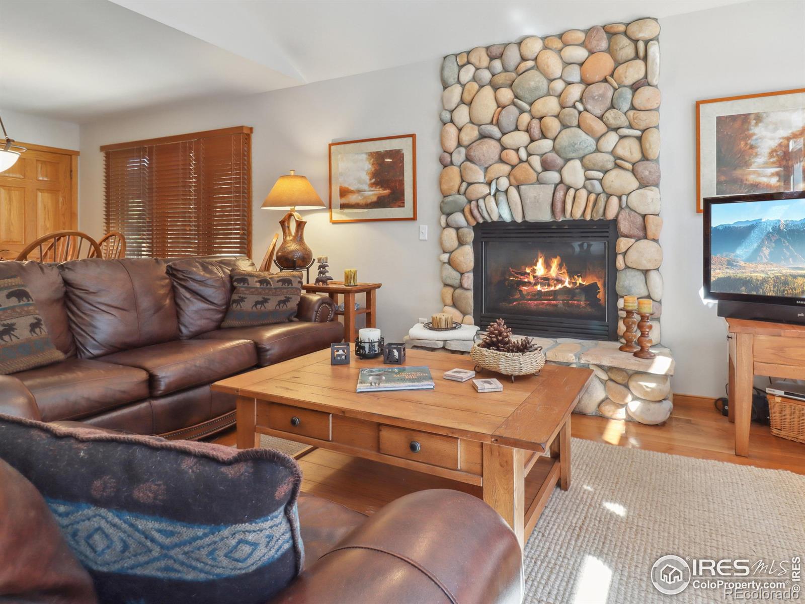 MLS Image #6 for 658  park river place,estes park, Colorado