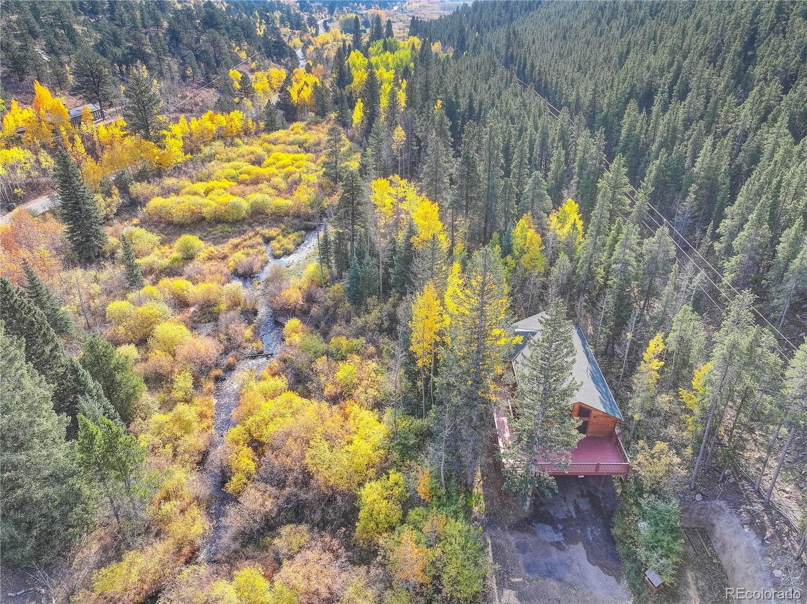 MLS Image #12 for 7505  county road 43 ,bailey, Colorado