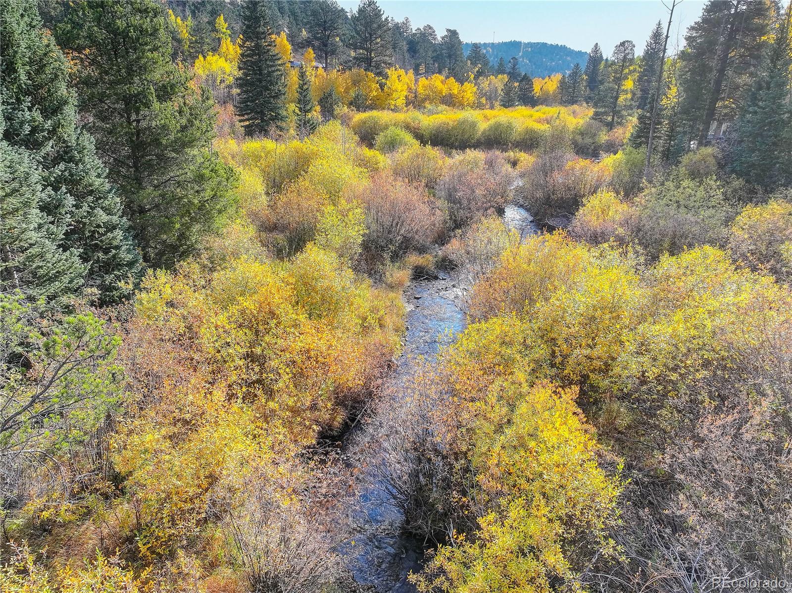 MLS Image #15 for 7505  county road 43 ,bailey, Colorado