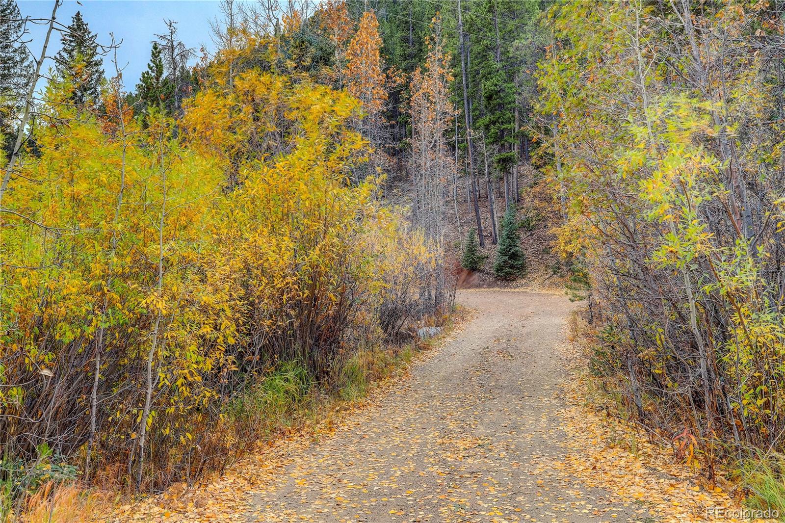 MLS Image #16 for 7505  county road 43 ,bailey, Colorado