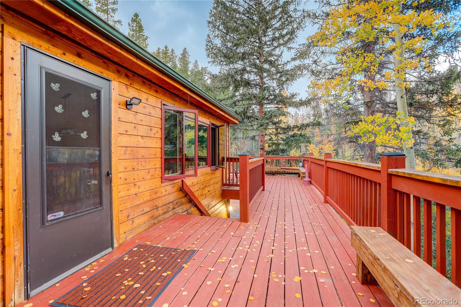 MLS Image #2 for 7505  county road 43 ,bailey, Colorado