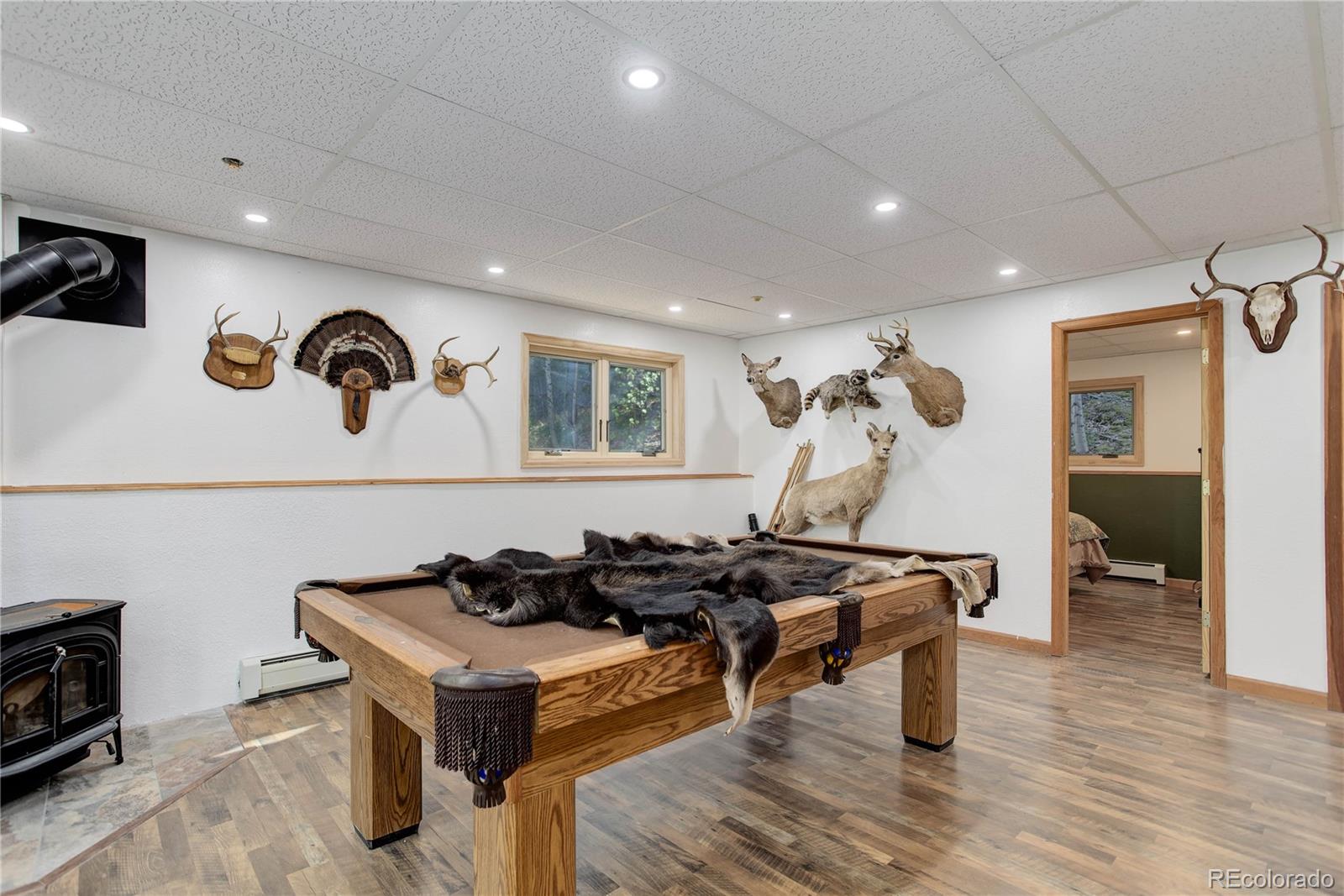 MLS Image #23 for 7505  county road 43 ,bailey, Colorado