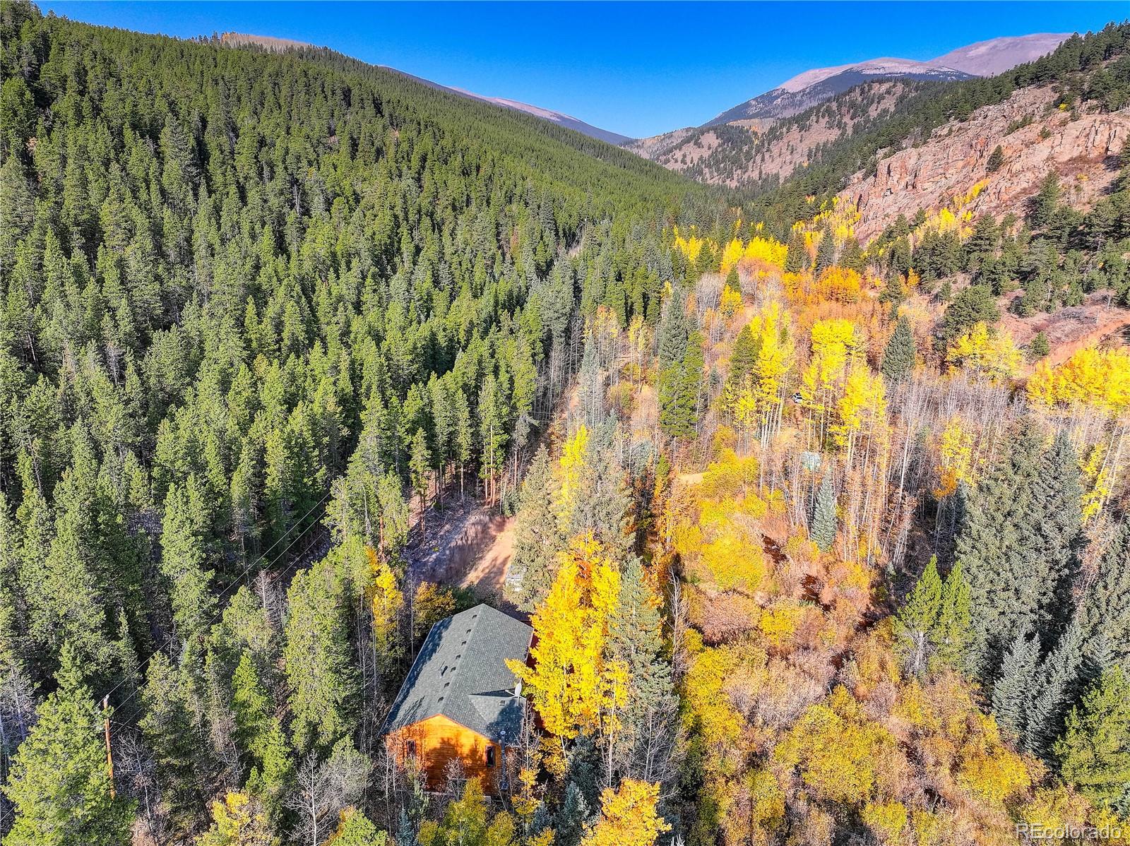 MLS Image #5 for 7505  county road 43 ,bailey, Colorado