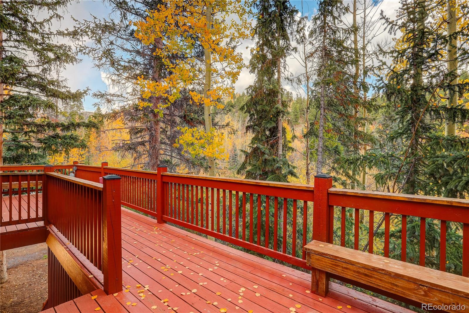 MLS Image #6 for 7505  county road 43 ,bailey, Colorado