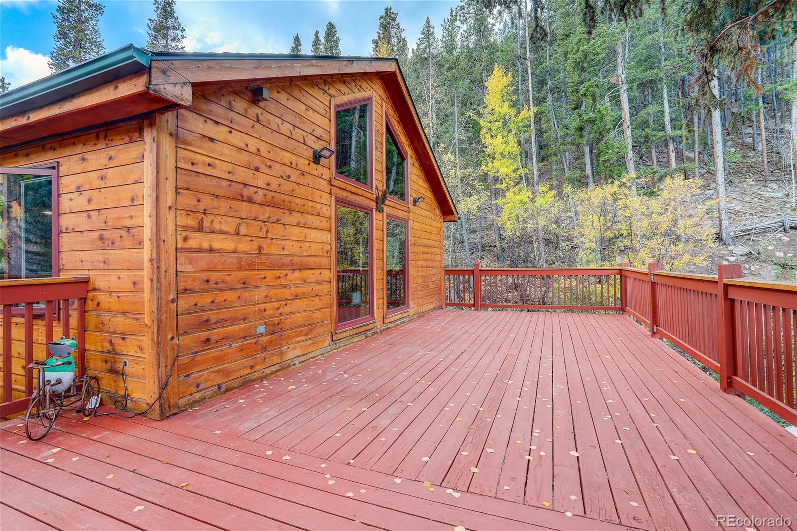 MLS Image #7 for 7505  county road 43 ,bailey, Colorado