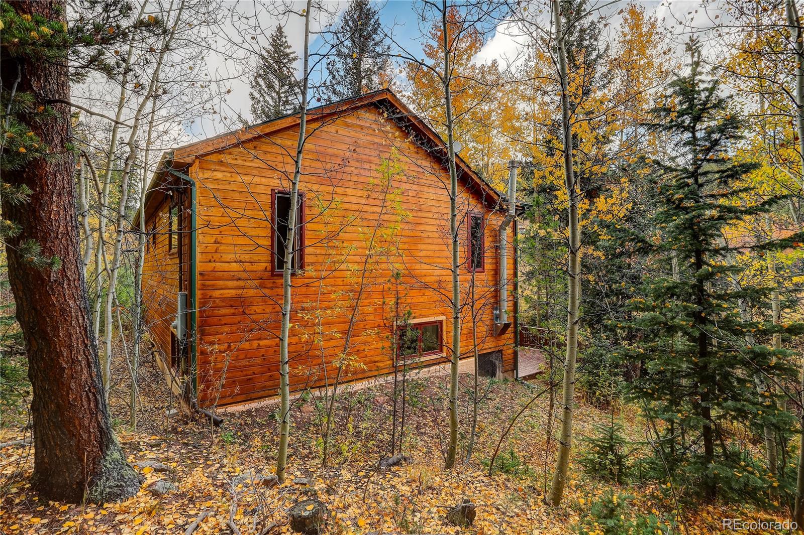 MLS Image #8 for 7505  county road 43 ,bailey, Colorado