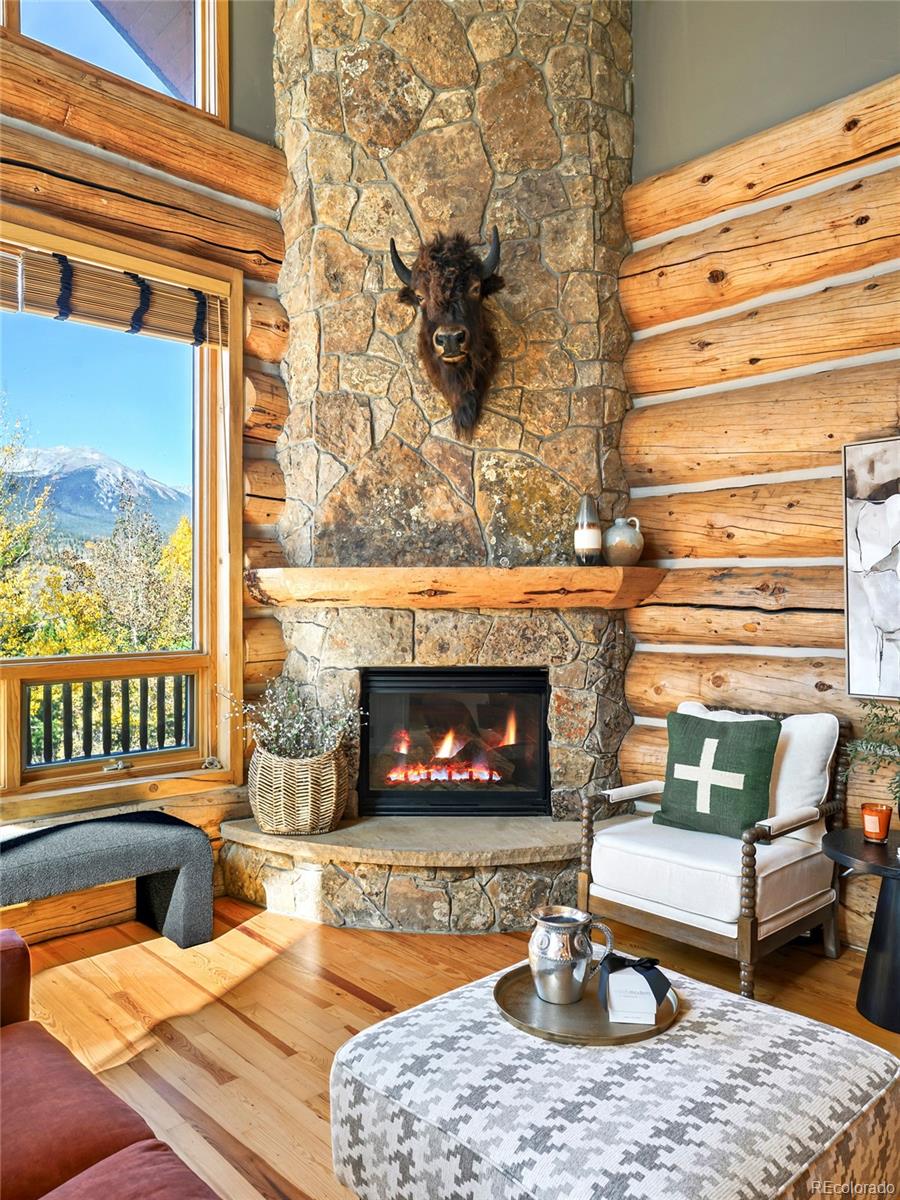 MLS Image #8 for 360  hummingbird circle,silverthorne, Colorado