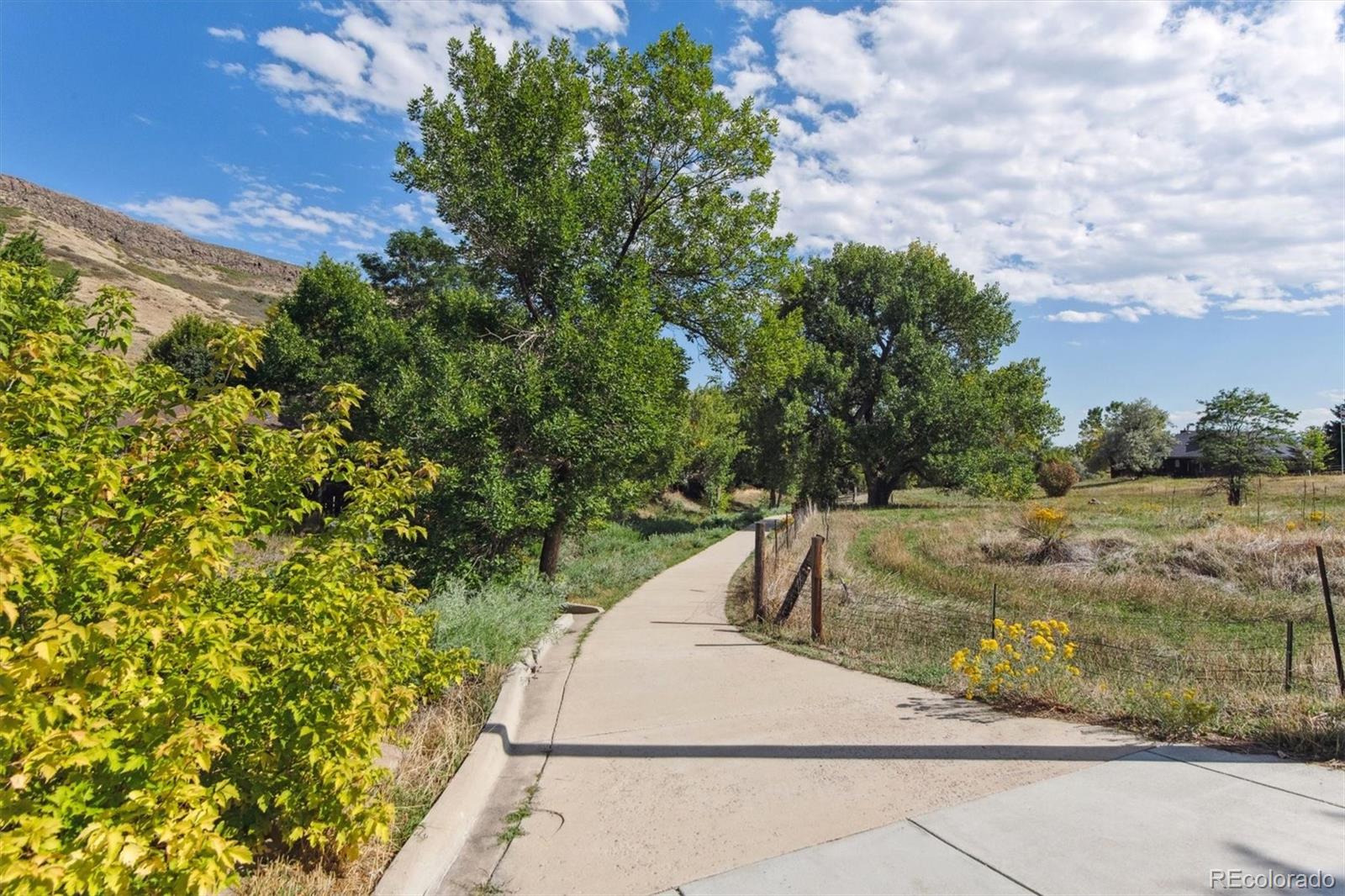 MLS Image #28 for 1029 n columbine street,golden, Colorado