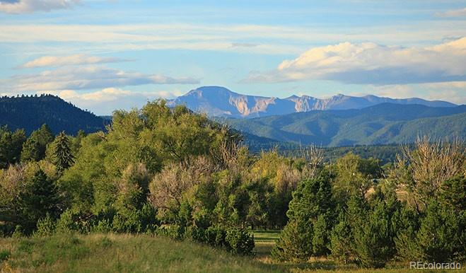 MLS Image #3 for 4125  river oaks street,castle rock, Colorado