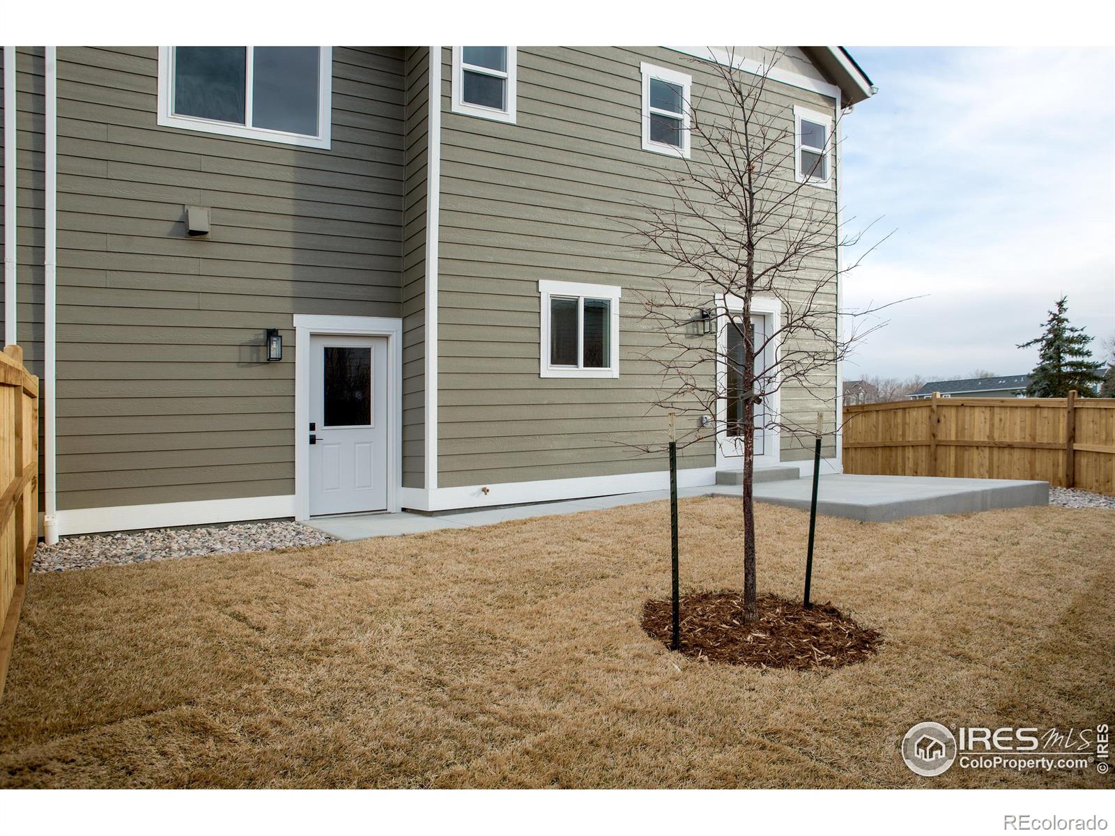 MLS Image #20 for 436  primrose court,loveland, Colorado