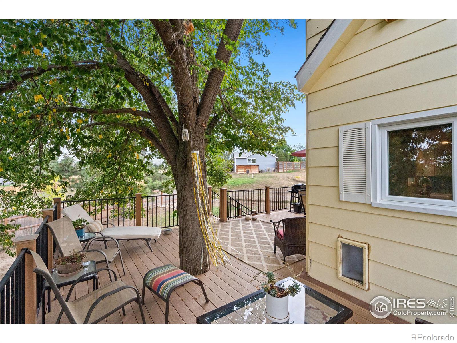 MLS Image #6 for 817  nancy avenue,fort collins, Colorado