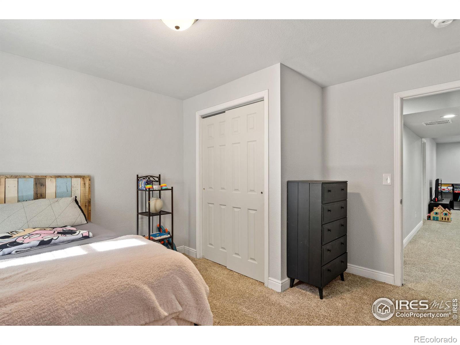 MLS Image #18 for 282  green teal drive,loveland, Colorado