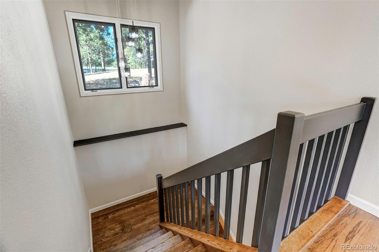 MLS Image #15 for 7070  baker road,colorado springs, Colorado