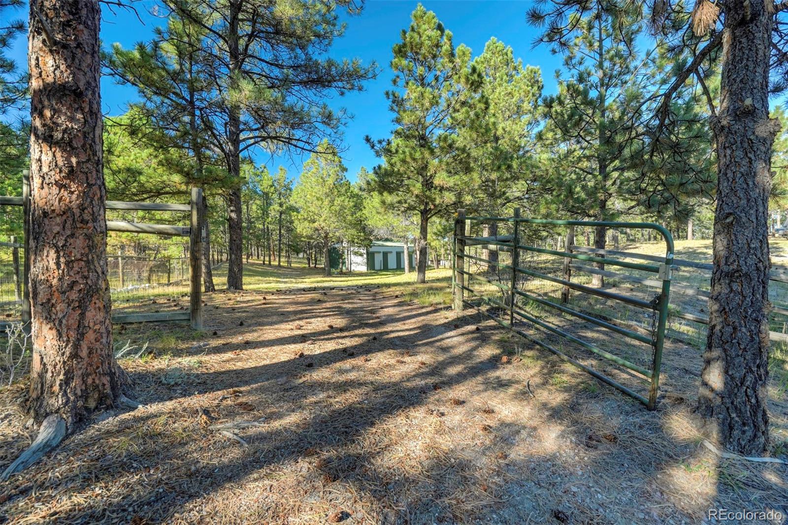 MLS Image #28 for 7070  baker road,colorado springs, Colorado