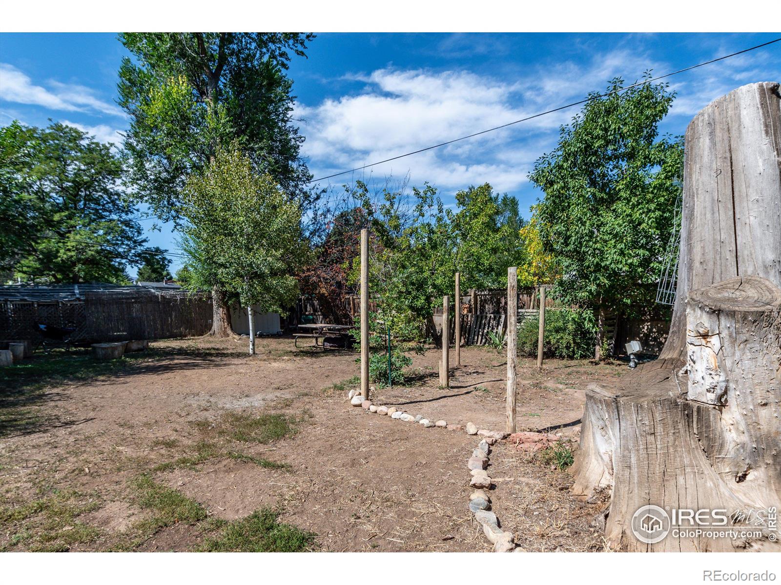 MLS Image #25 for 347 n shields street,fort collins, Colorado