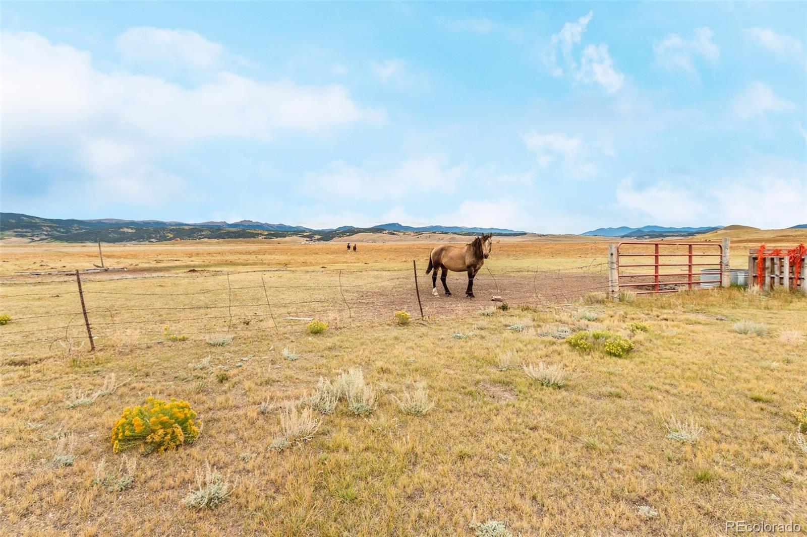 MLS Image #2 for 70  litmer road,jefferson, Colorado