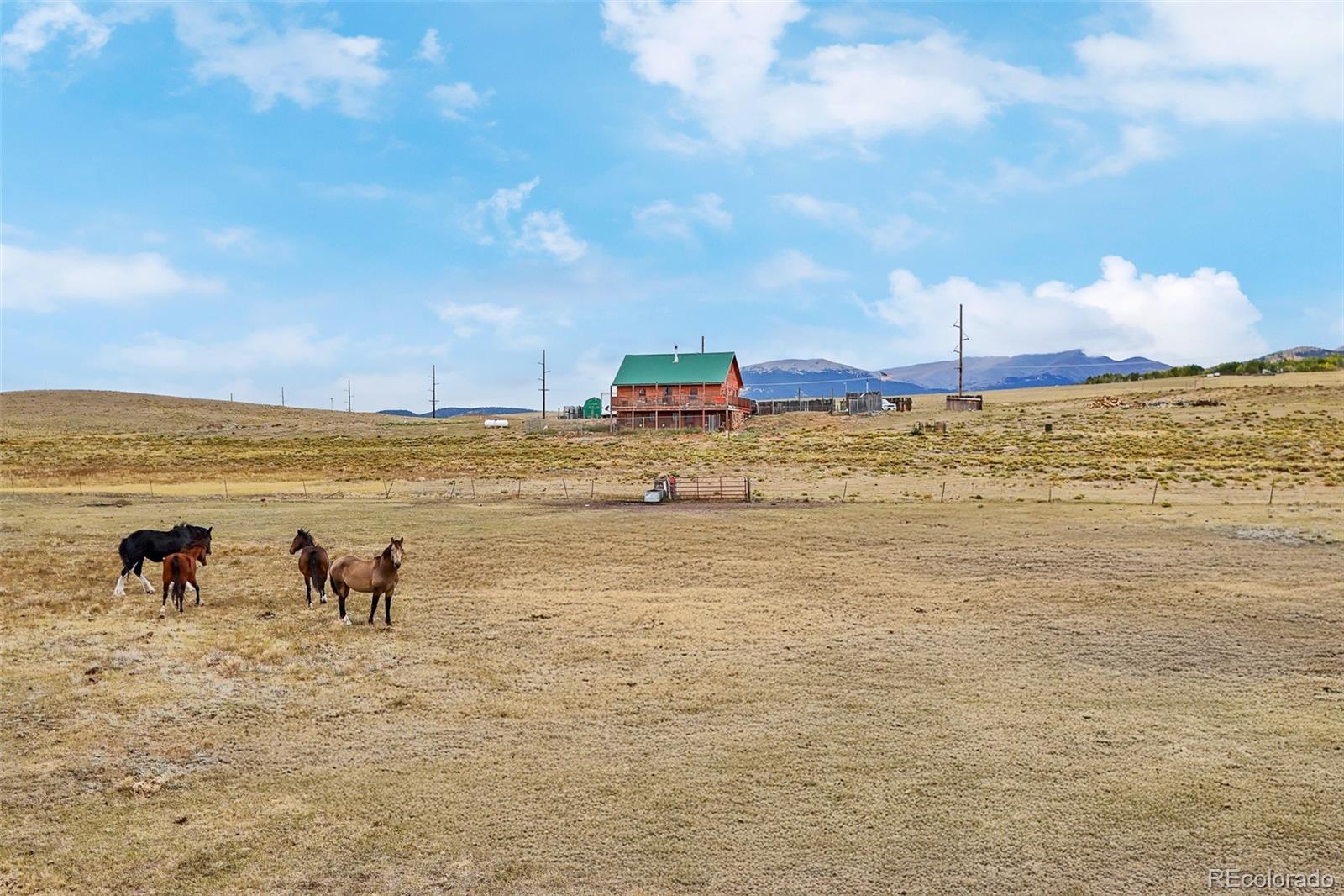 MLS Image #3 for 70  litmer road,jefferson, Colorado