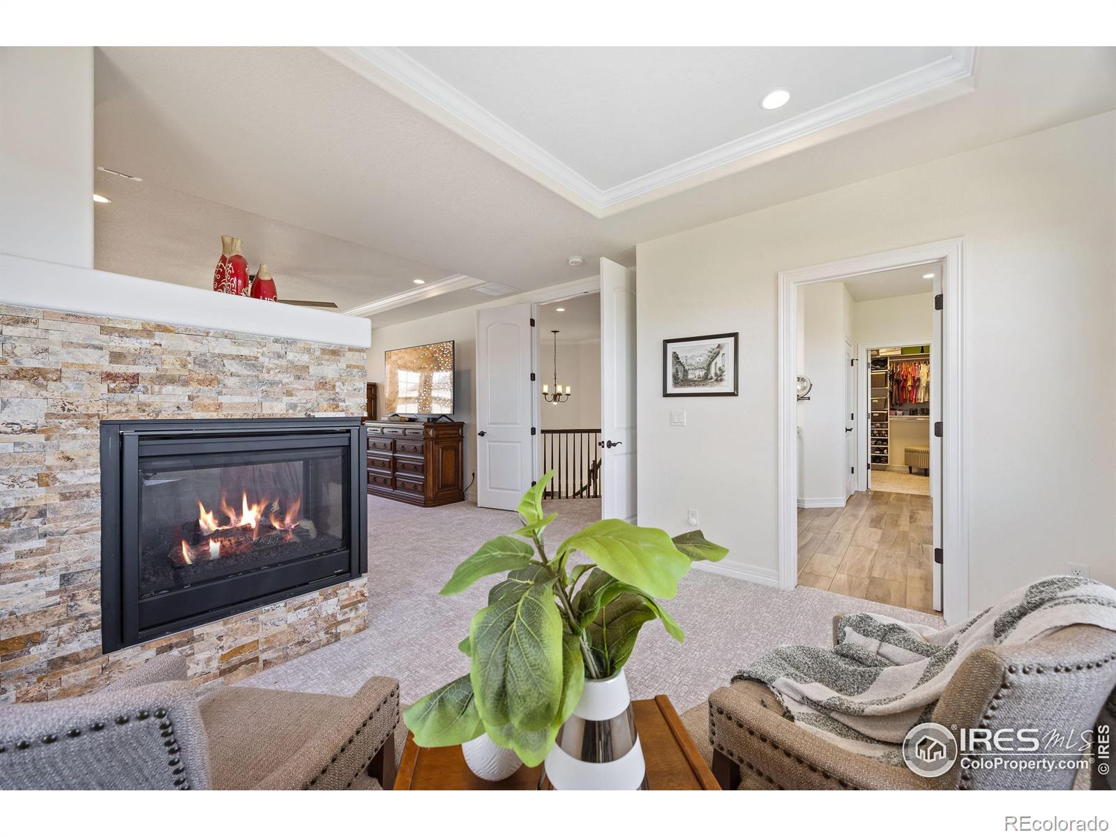 MLS Image #17 for 6315  morning light place,fort collins, Colorado