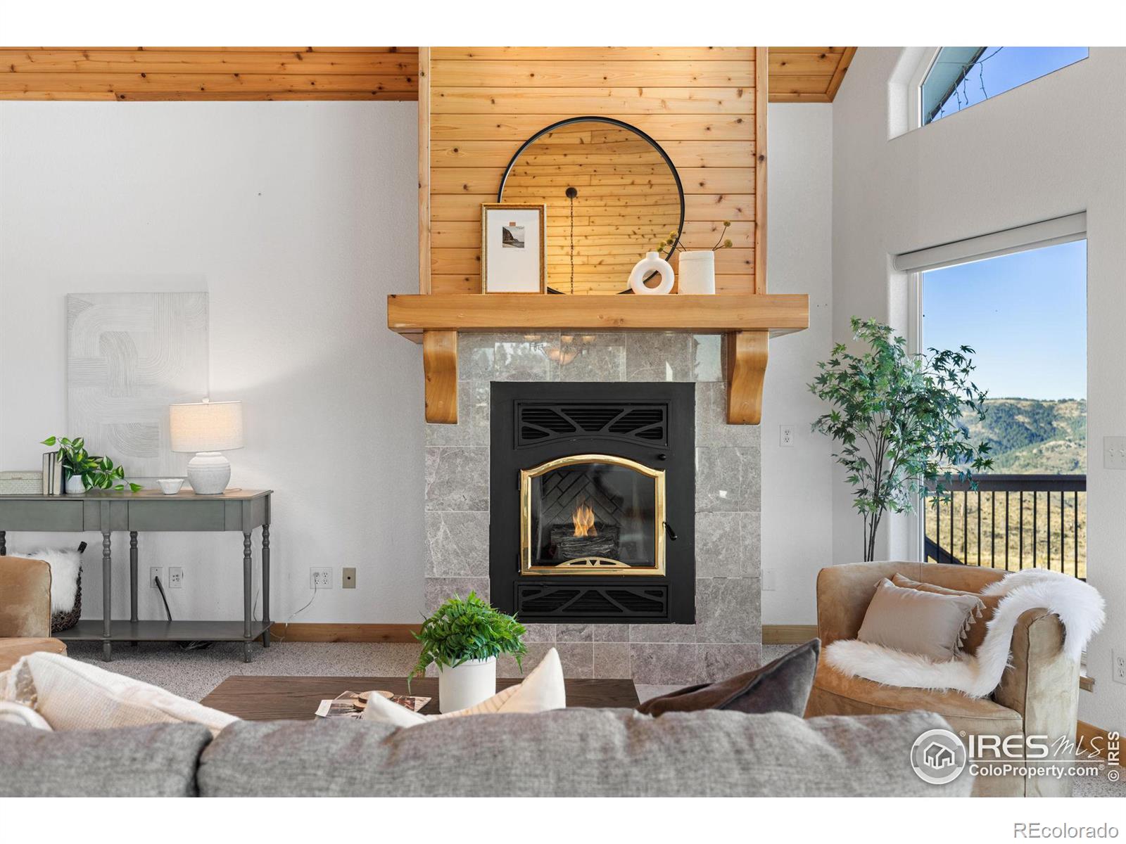 MLS Image #10 for 13048  otter road,loveland, Colorado