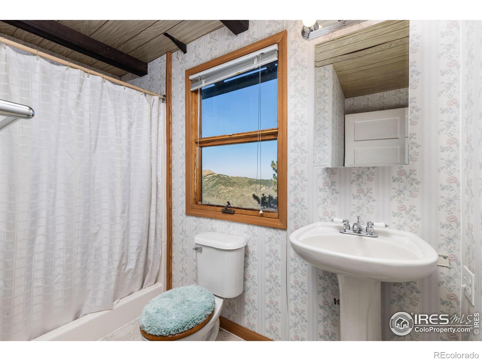 MLS Image #33 for 13048  otter road,loveland, Colorado