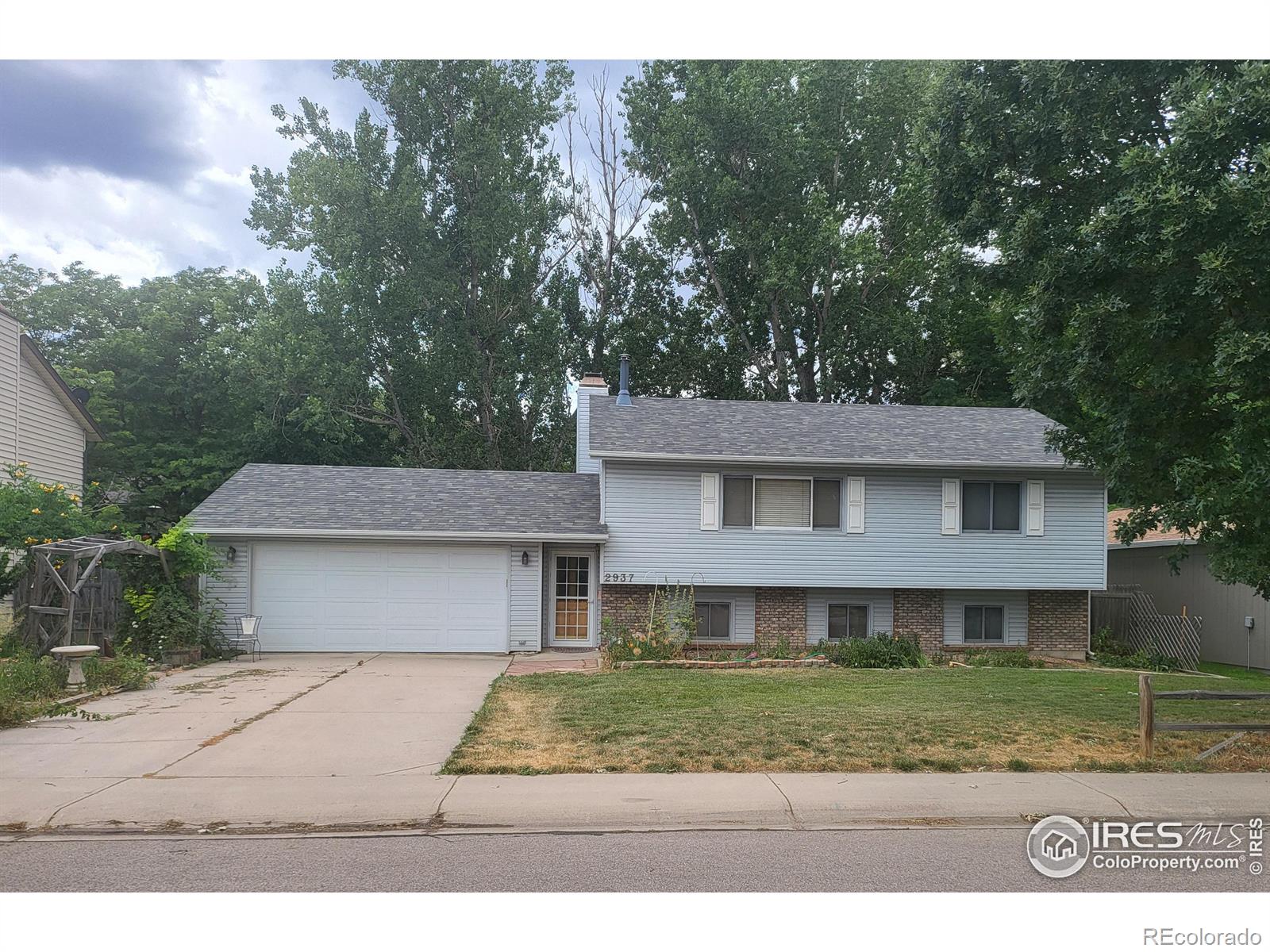 MLS Image #4 for 2937  sombrero lane,fort collins, Colorado