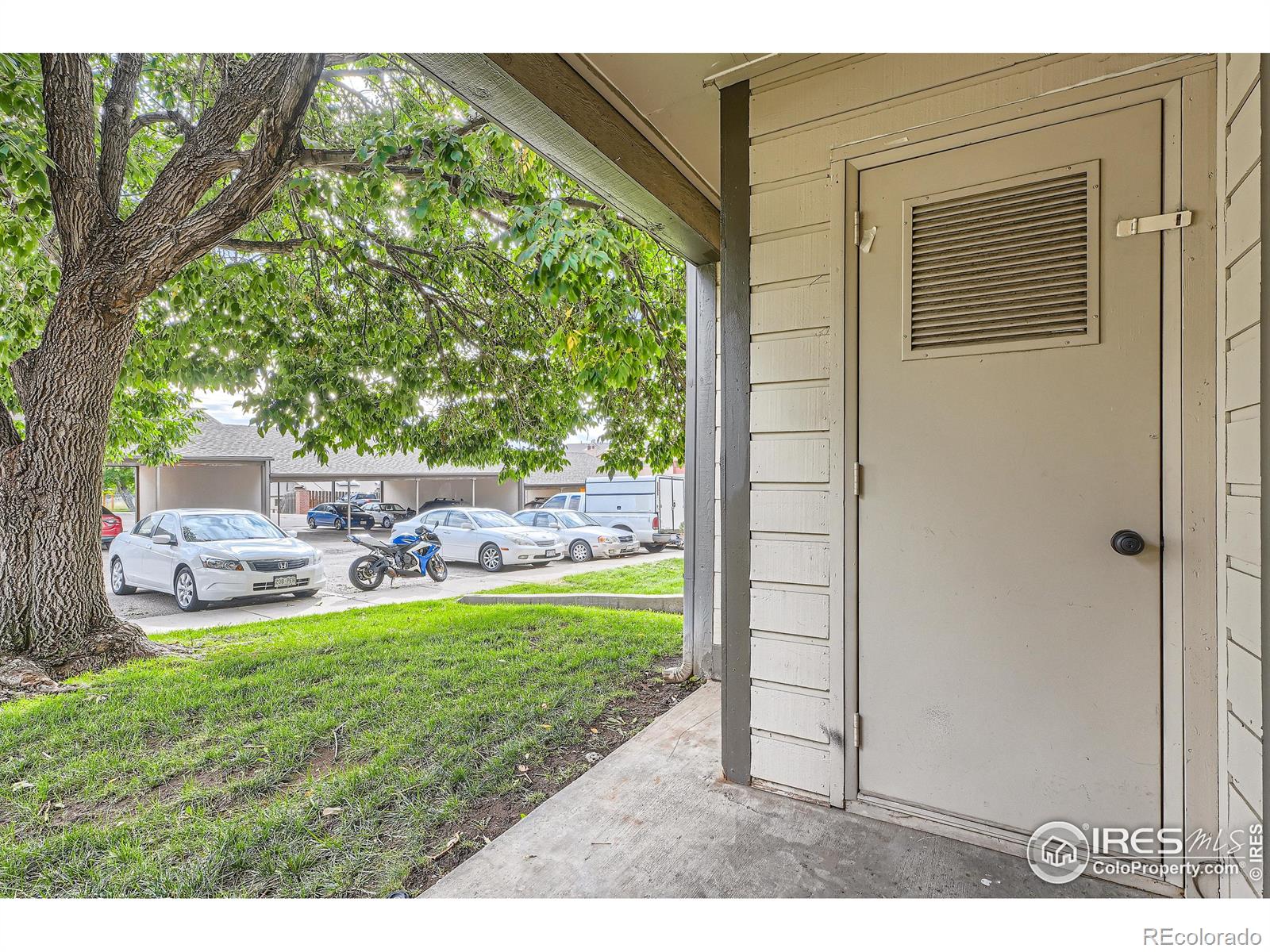 MLS Image #20 for 499  wright street,lakewood, Colorado