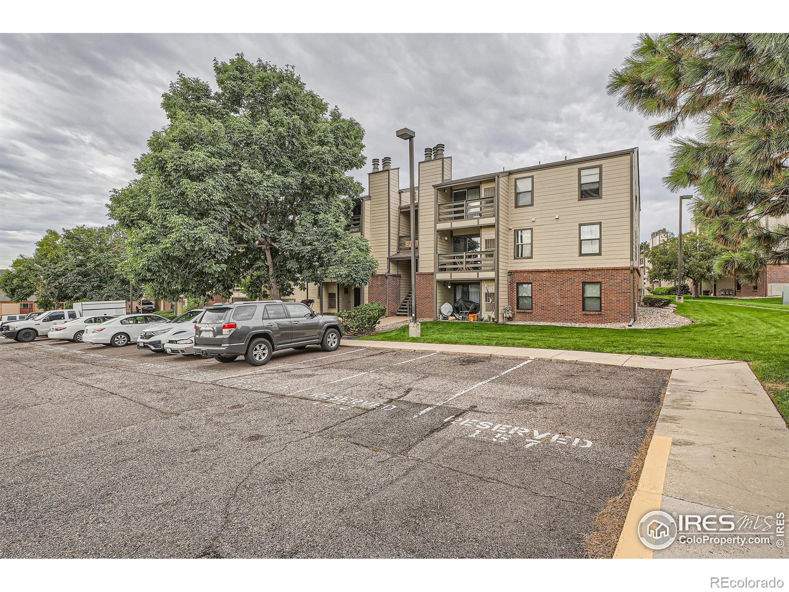 MLS Image #22 for 499  wright street,lakewood, Colorado