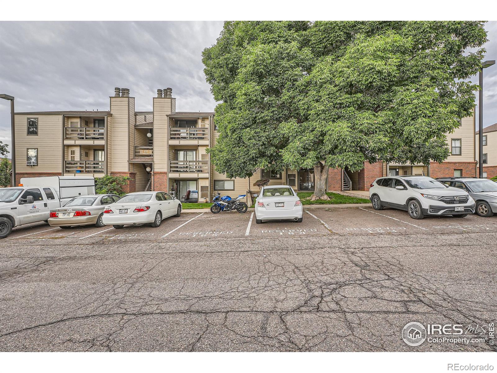 MLS Image #23 for 499  wright street,lakewood, Colorado