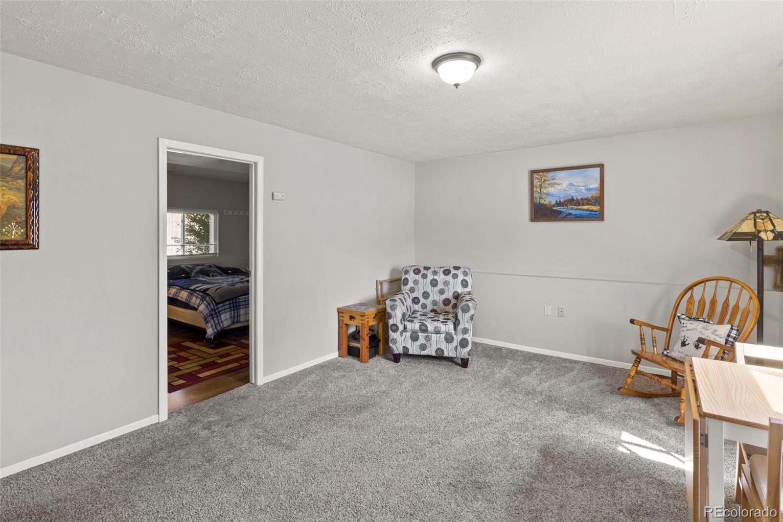 MLS Image #20 for 5170  quill drive,colorado springs, Colorado