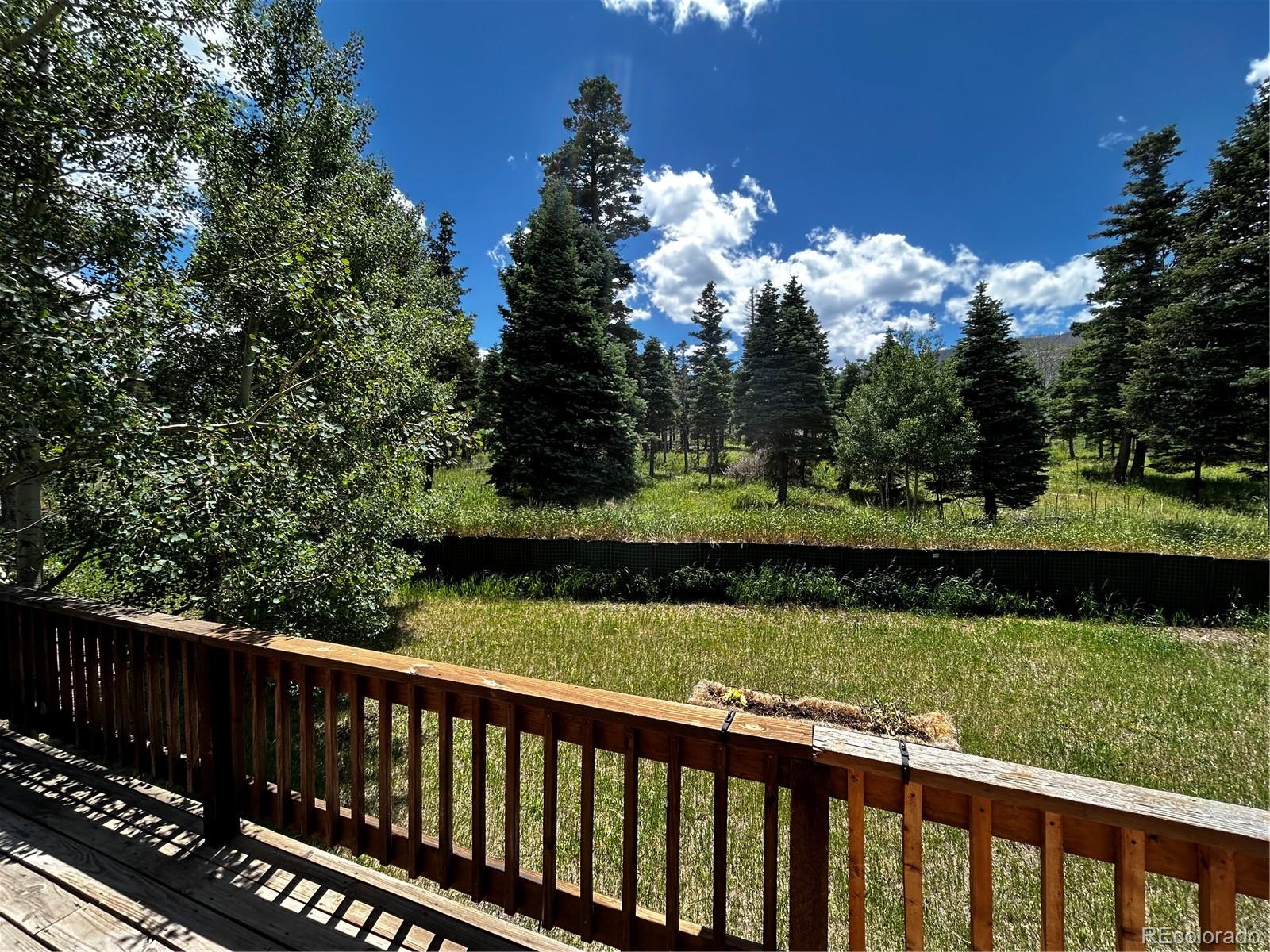 MLS Image #4 for 87  thompson road,la veta, Colorado