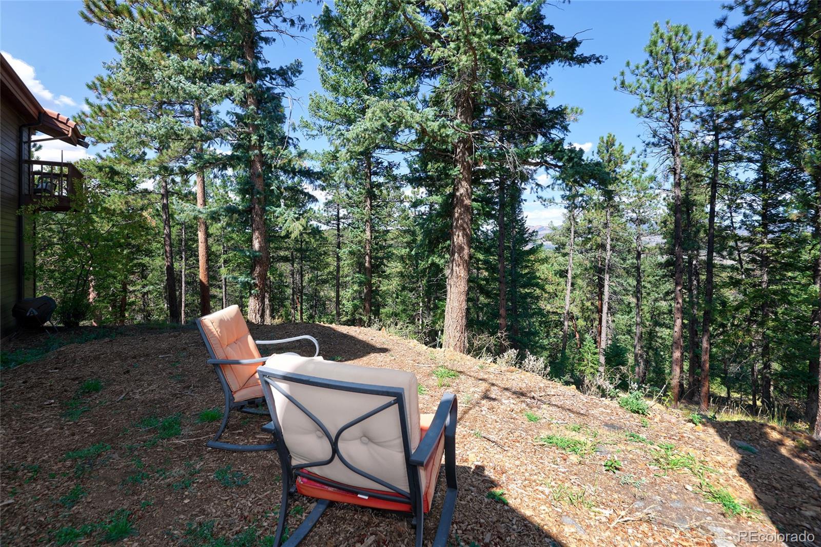 MLS Image #45 for 30773  ruby ranch road,evergreen, Colorado