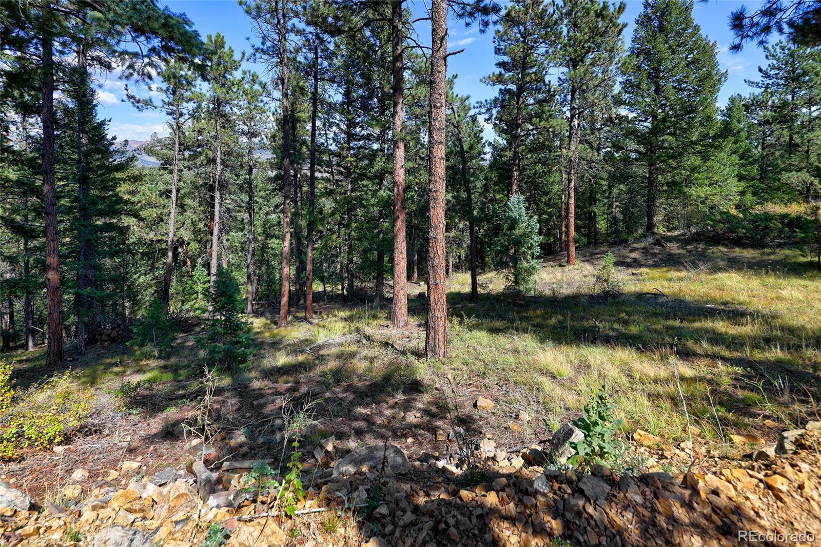 MLS Image #46 for 30773  ruby ranch road,evergreen, Colorado