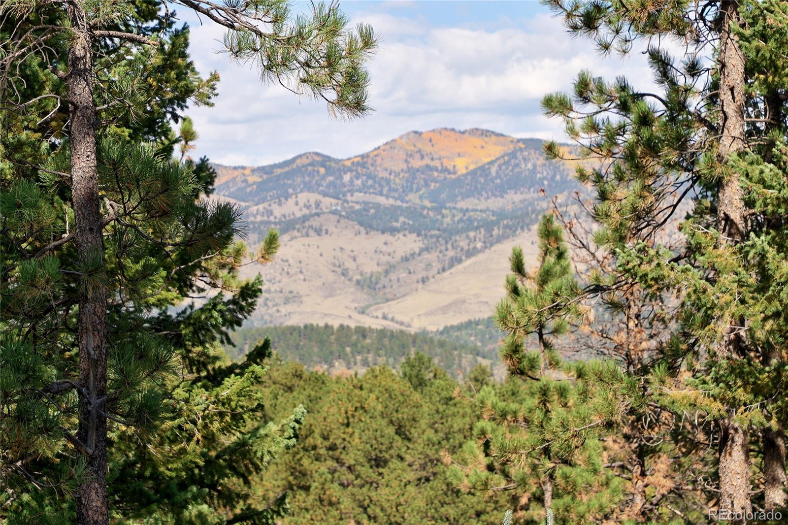 MLS Image #47 for 30773  ruby ranch road,evergreen, Colorado