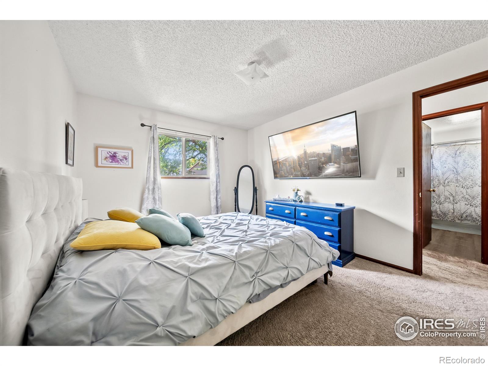 MLS Image #17 for 2207  austin court,loveland, Colorado