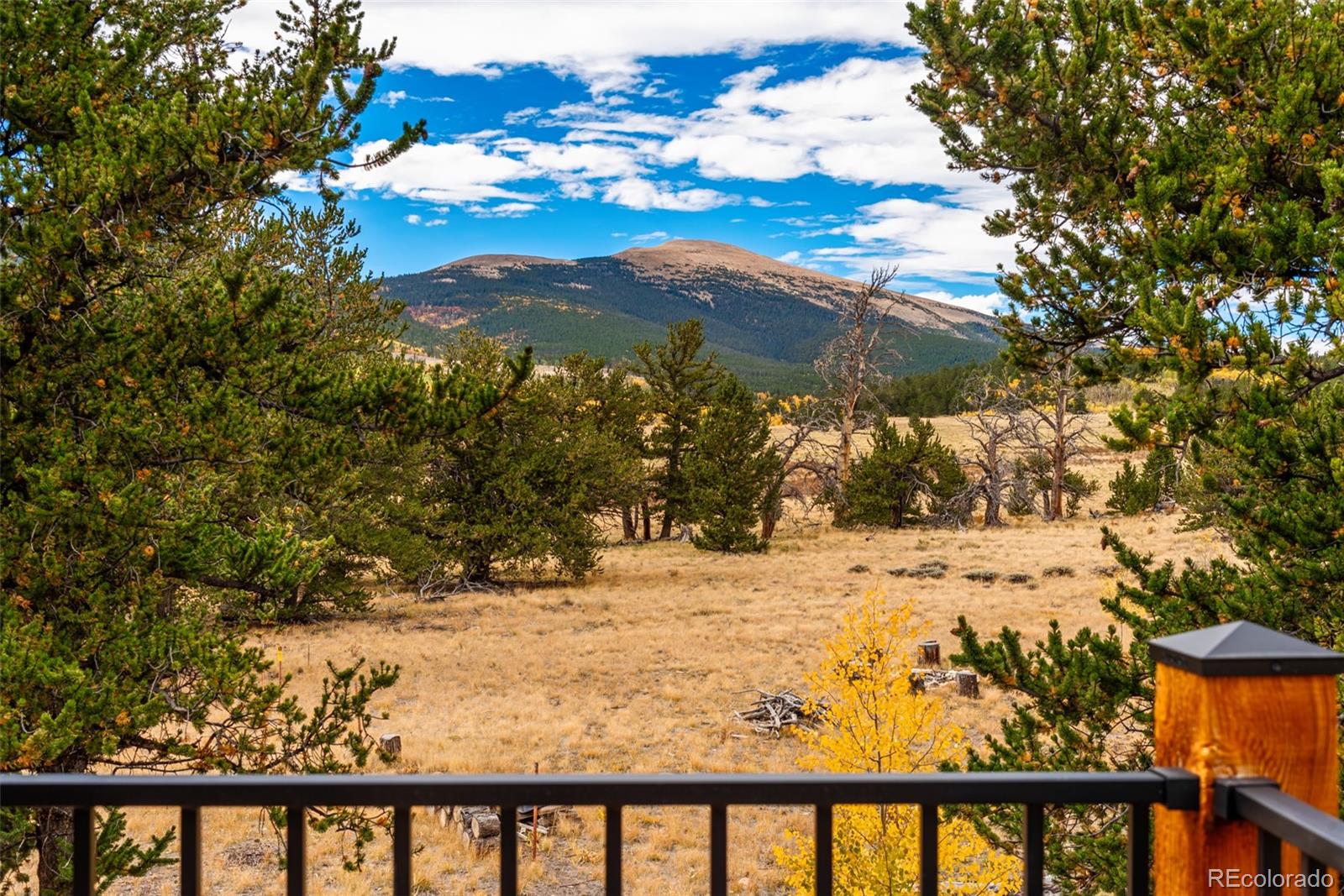 MLS Image #15 for 49  stellar jay way,fairplay, Colorado