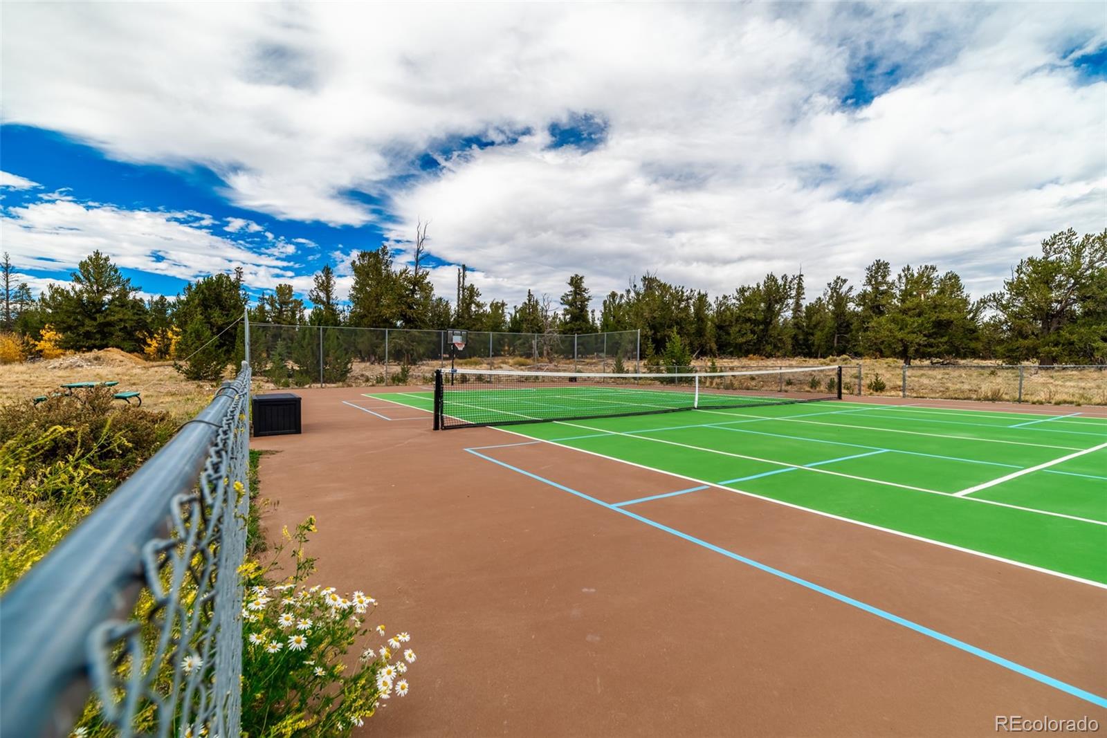 MLS Image #35 for 49  stellar jay way,fairplay, Colorado