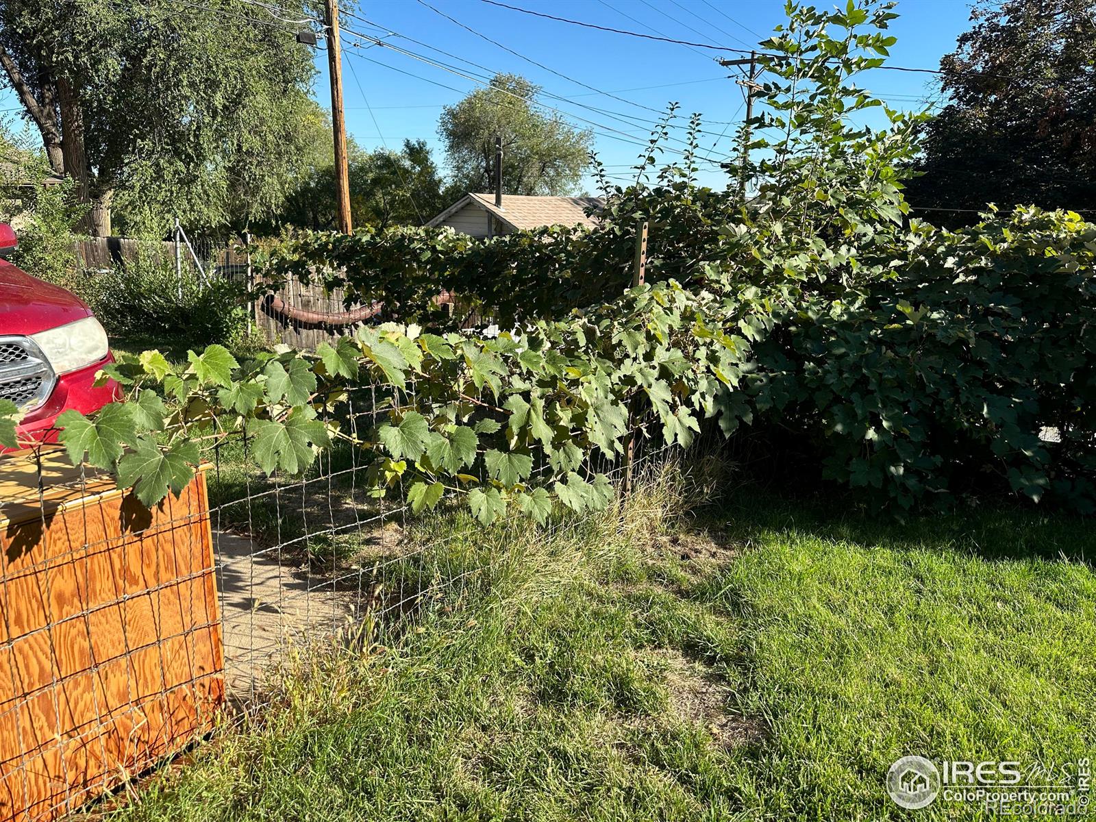 MLS Image #31 for 206  francis street,longmont, Colorado