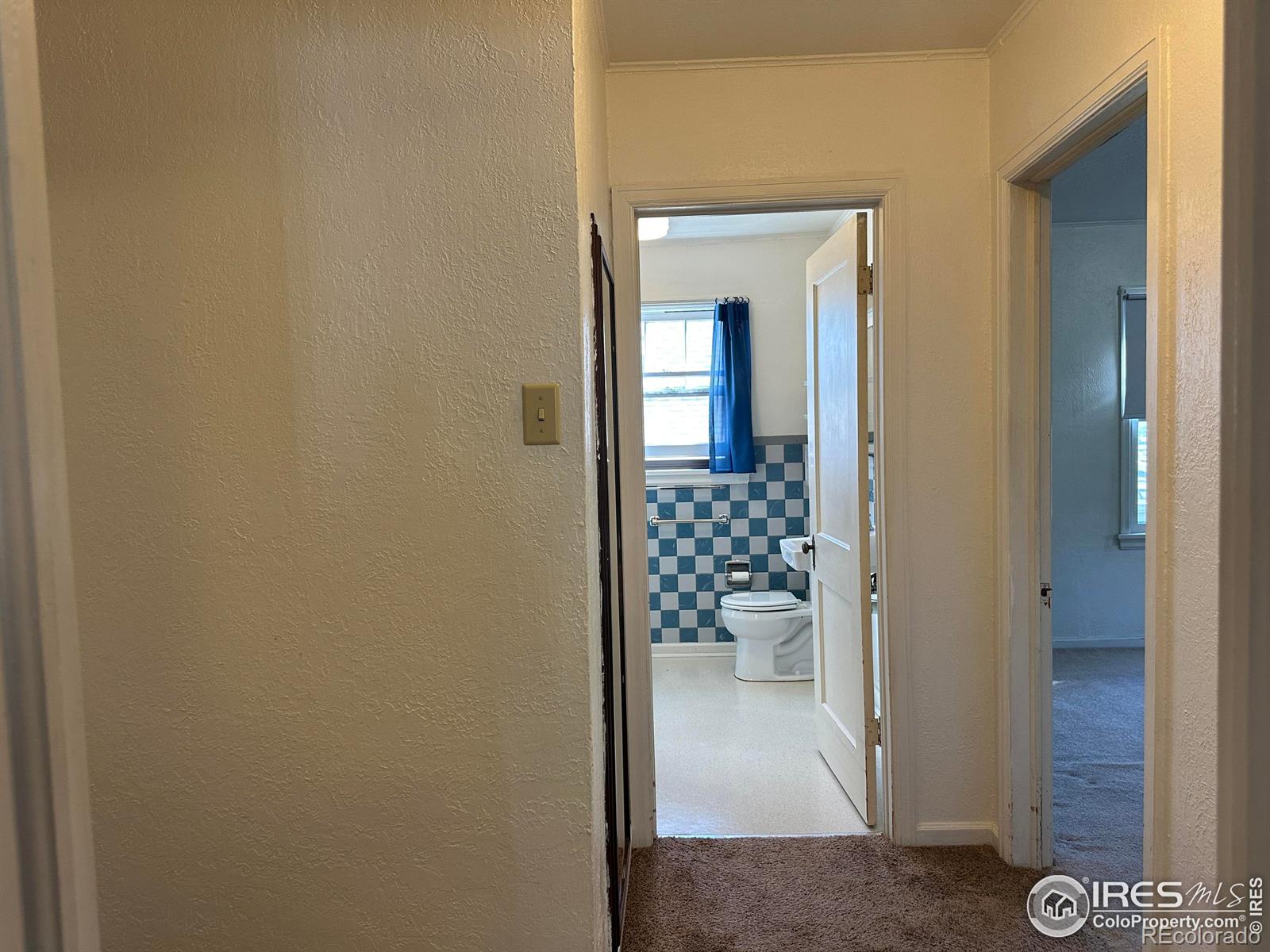 MLS Image #9 for 206  francis street,longmont, Colorado