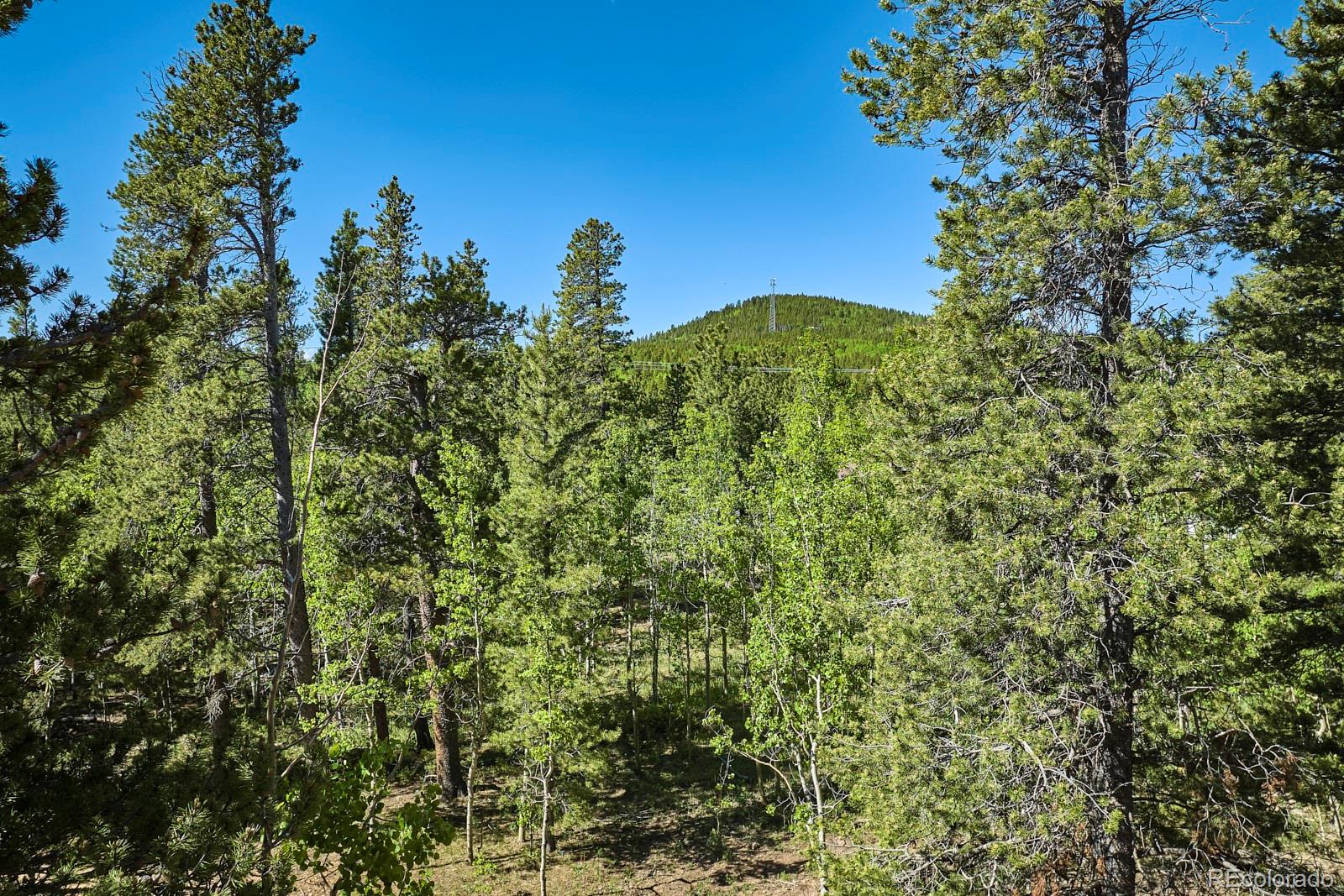 MLS Image #19 for 280  dory lakes drive,black hawk, Colorado