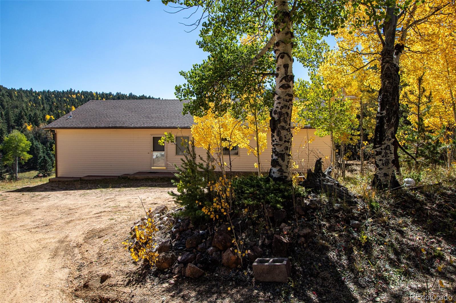 MLS Image #0 for 1054  cantiberry road,divide, Colorado