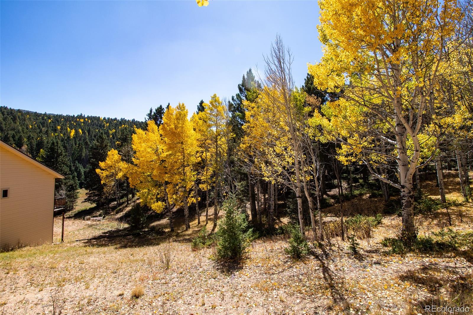 MLS Image #10 for 1054  cantiberry road,divide, Colorado