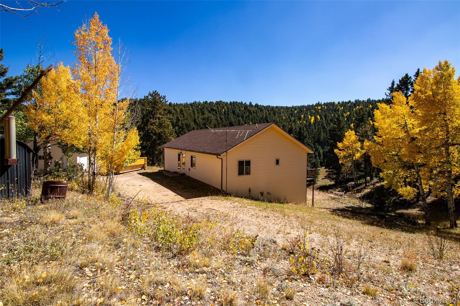 MLS Image #5 for 1054  cantiberry road,divide, Colorado